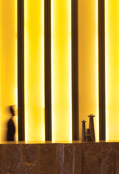 avasa-home-image-intro