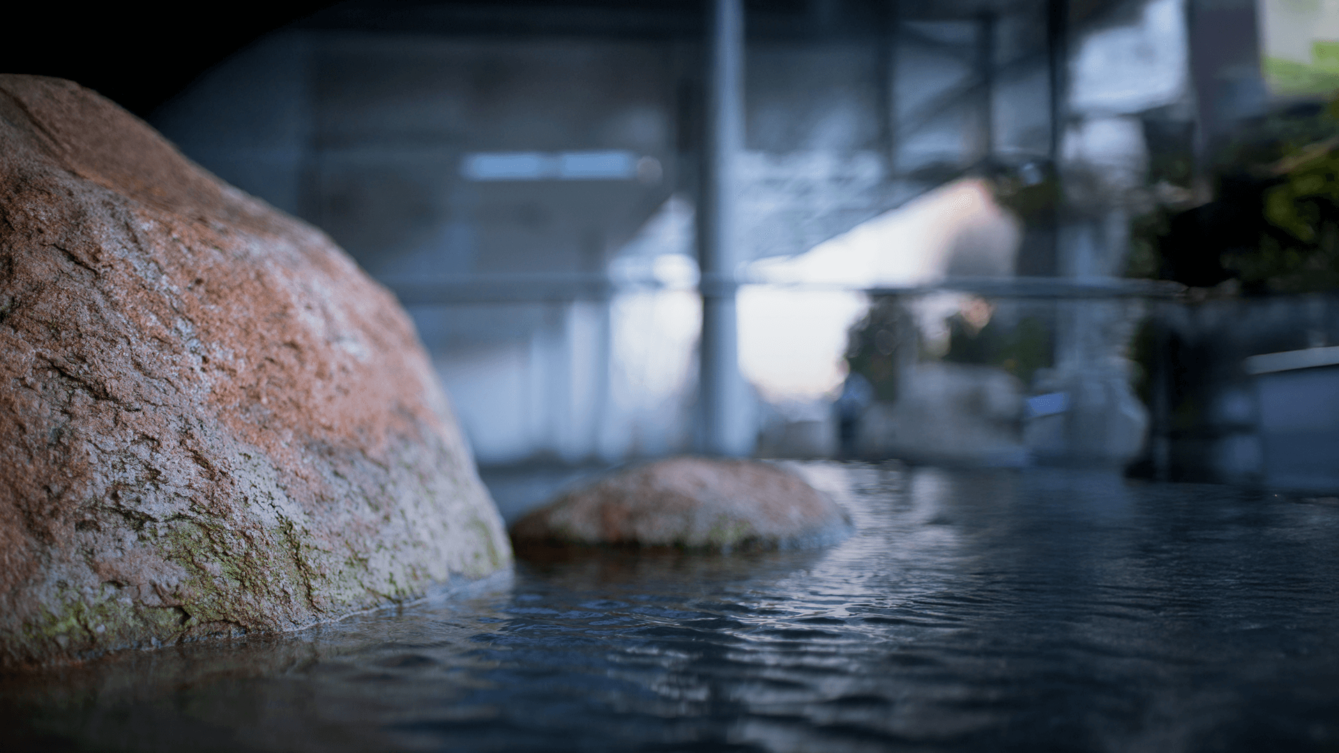 avasa-wellness-banner